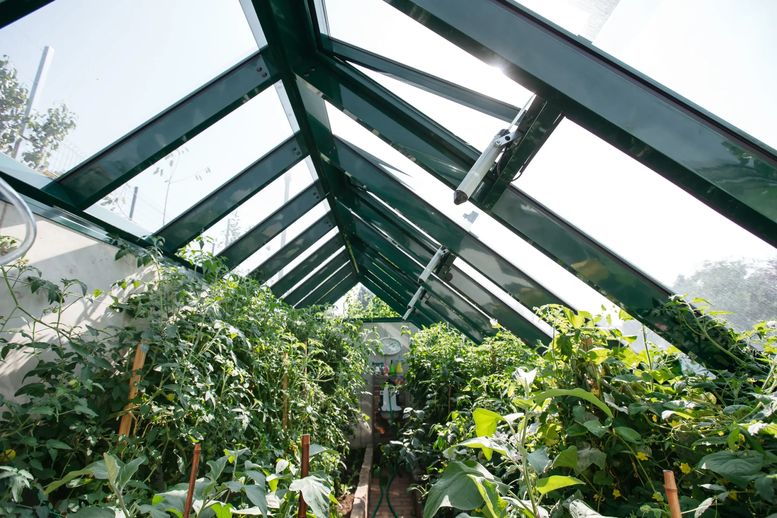 Inteligentny ogród, ogród smart home, automatyka ogrodowa, nowoczesny ogród, inteligentne nawadnianie ogrodu