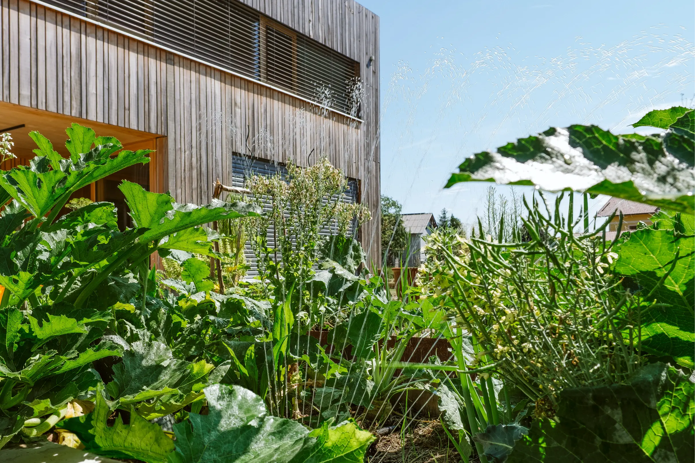 Inteligentny ogród, ogród smart home, automatyka ogrodowa, nowoczesny ogród, inteligentne nawadnianie ogrodu